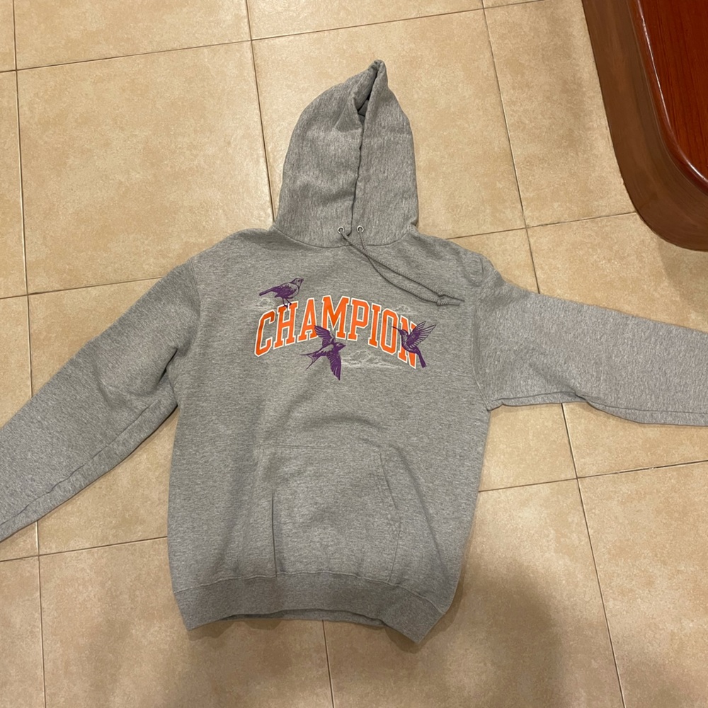Rare Champion fleece hoodie